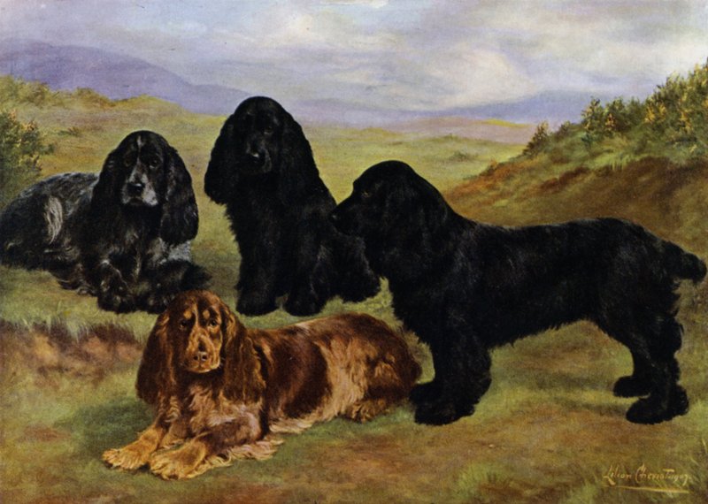 Cocker spánielek alkotó: Lilian Cheviot