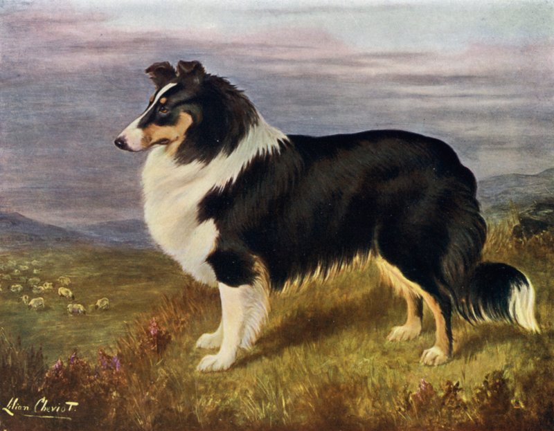 Hans F. Hamilton tiszteletes, Wcodmansterne Derek alkotó: Lilian Cheviot