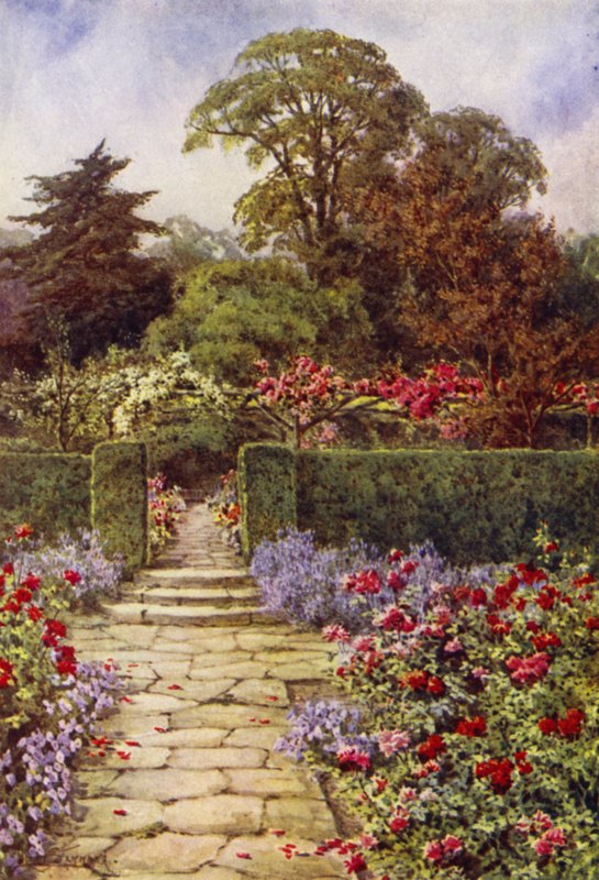 The Rose Walk (színes litó) alkotó: Lilian Stannard