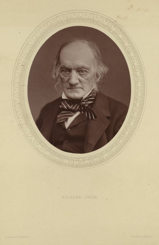 Sir Richard Owen portréja alkotó: Lock and Whitfield