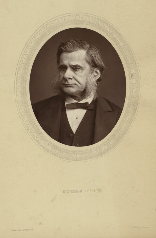 Thomas Henry Huxley portréja alkotó: Lock and Whitfield