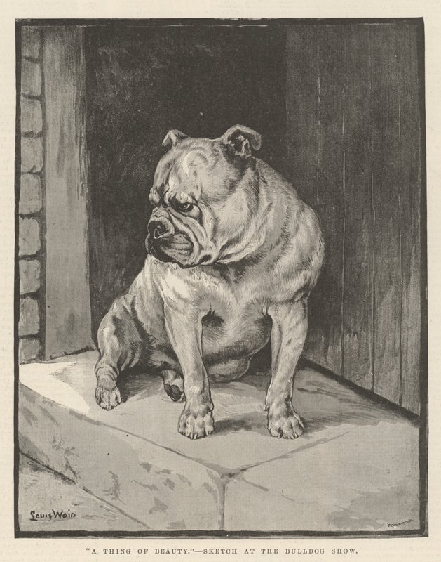 Egy szépség alkotó: Louis Wain