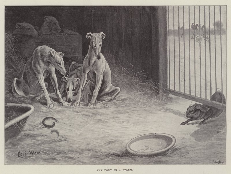 Bármelyik kikötő a viharban alkotó: Louis Wain