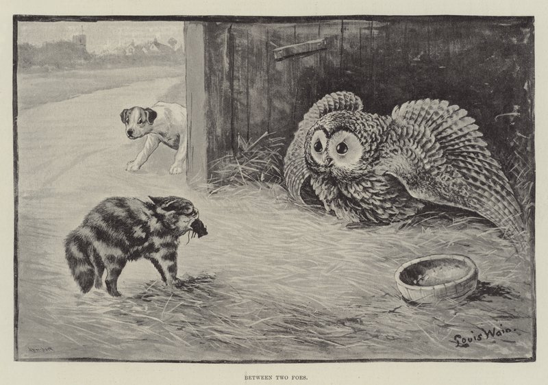 Két ellenség között alkotó: Louis Wain