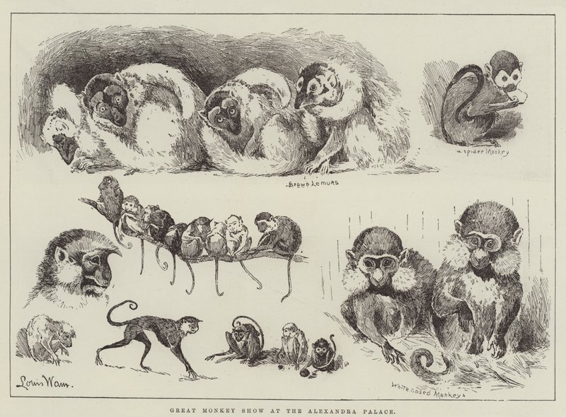 Nagy majombemutató az Alexandra Palotában alkotó: Louis Wain