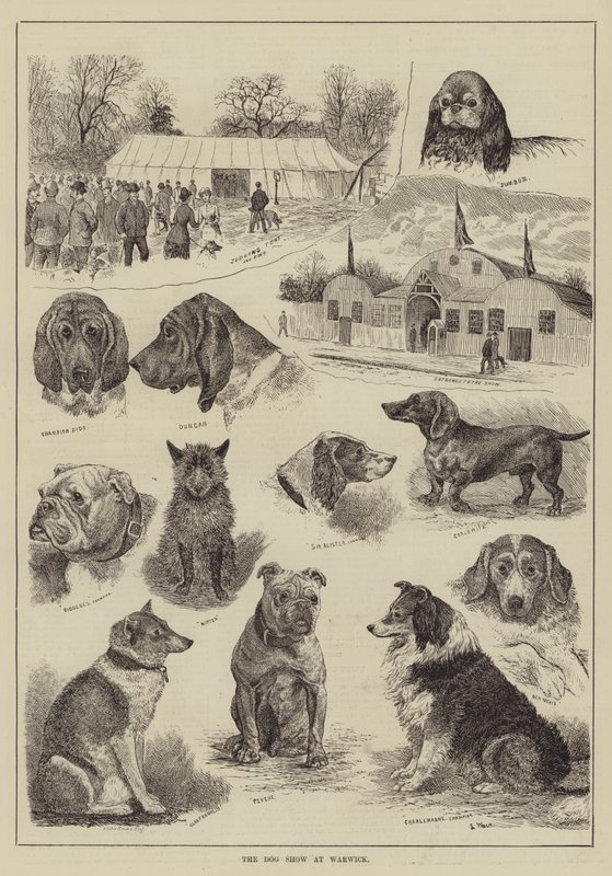 A kutyakiállítás Warwickban alkotó: Louis Wain