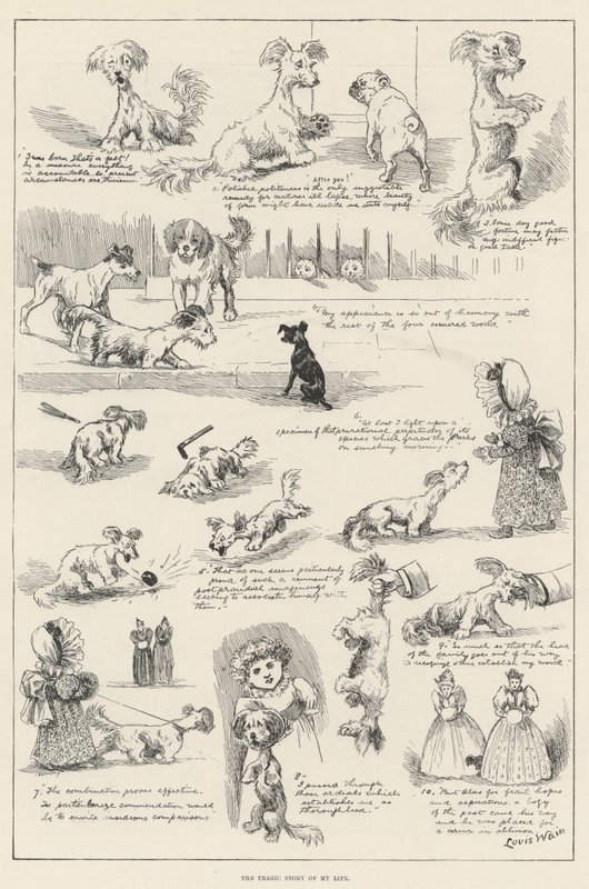 Életem tragikus története alkotó: Louis Wain