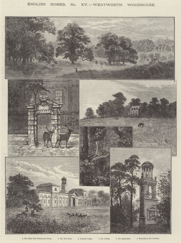 Wentworth Woodhouse alkotó: Louis Wain