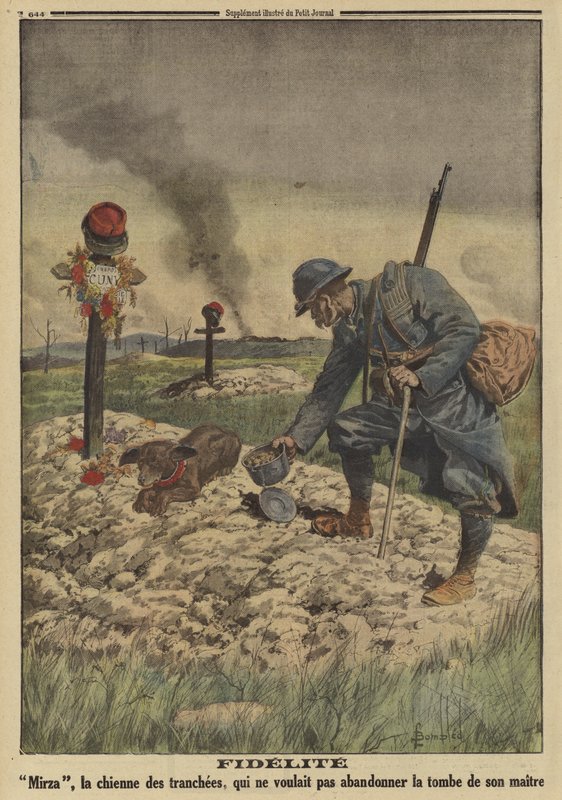 Hűség: a francia hadsereg kutyája nem hajlandó elhagyni halott gazdája sírját, I. világháború alkotó: Louis Charles (after) Bombled