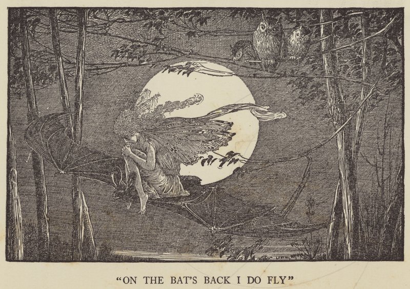 A denevérek hátán repülök alkotó: Louis John Rhead