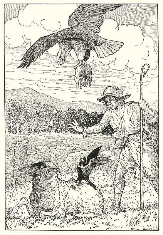 A sas és a héja (litográfia) alkotó: Louis John Rhead