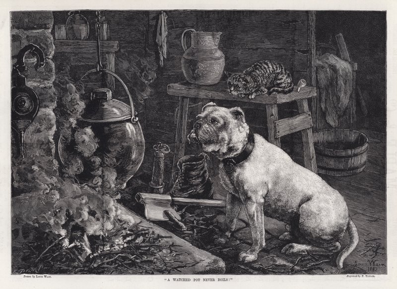 "Egy figyelt fazék soha nem forr fel!" (metszés) alkotó: Louis Wain
