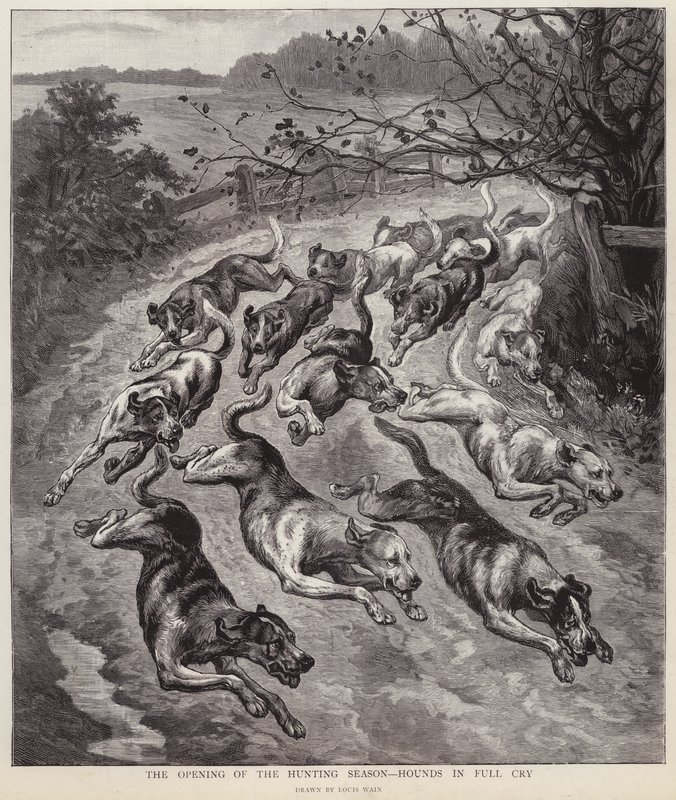 A vadászkutyák teljes sírásban a vadászati szezon kezdetén (litho) alkotó: Louis Wain