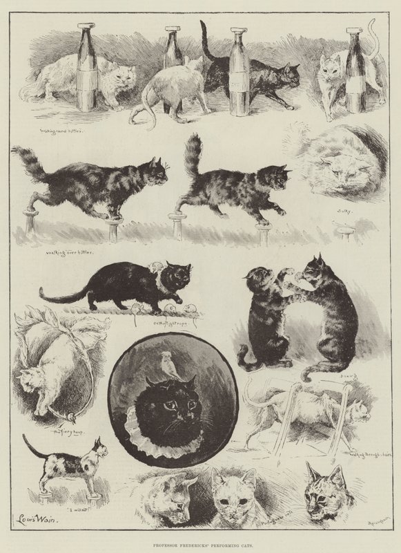 Fredericks professzor fellépő macskái alkotó: Louis Wain