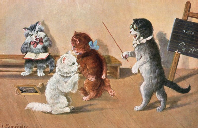Humoros macskás képeslap (színes litográfia) alkotó: Luise Schropler