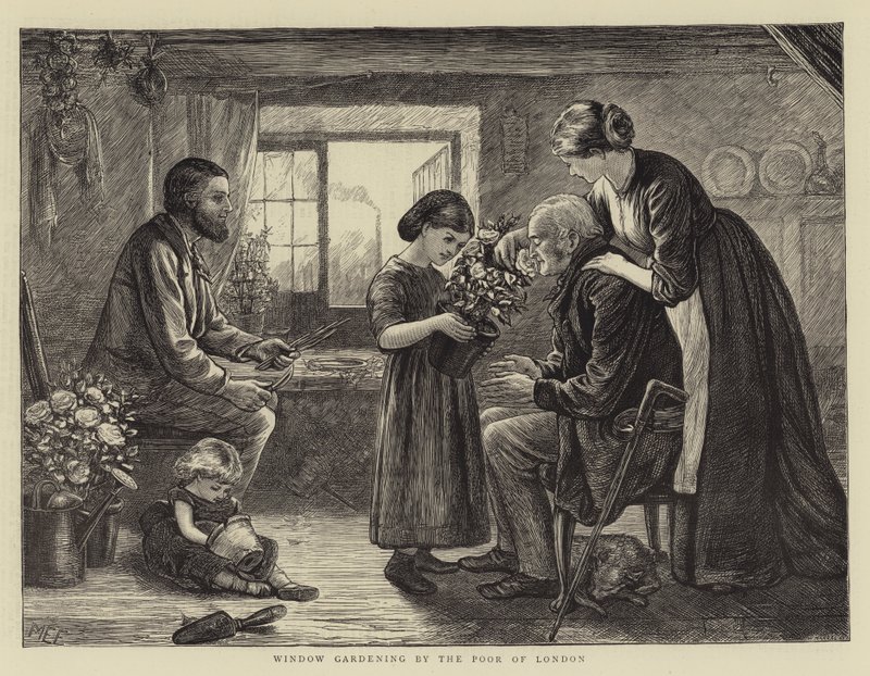 A londoni szegények ablakkertészete alkotó: Mary Ellen Edwards