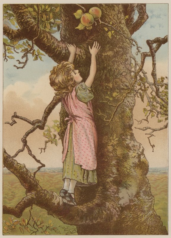 Lány mászó az utolsó almáért (chromolitho) alkotó: Mary Ellen Edwards