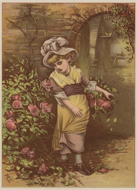 Rózsát szedő lány (chromolitho) alkotó: Mary Ellen Edwards