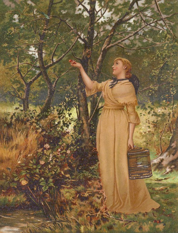 A csavargó (chromolitho) alkotó: Mary Ellen Edwards