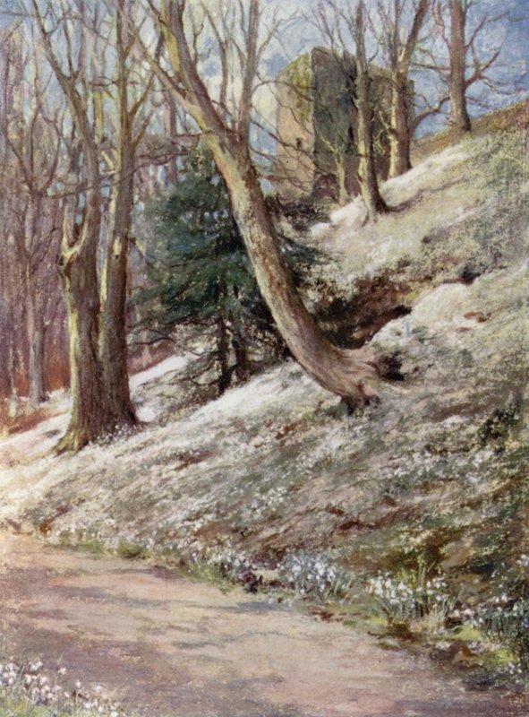 Skót kertek: Ardgowan (színes litho) alkotó: Mary Georgina Wade Wilson