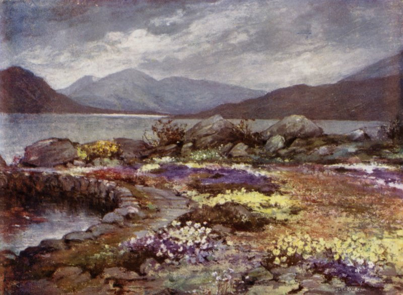 Skót kertek: Corrour (színes litó) alkotó: Mary Georgina Wade Wilson