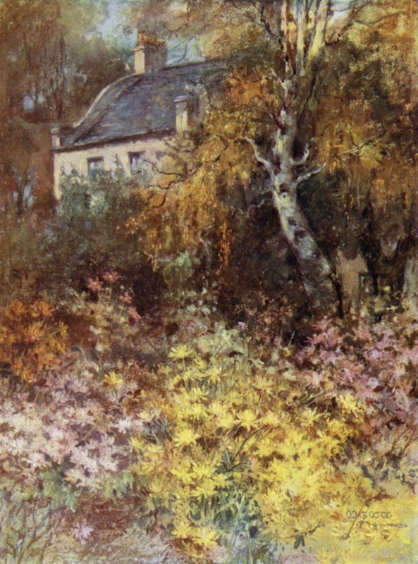 Skót kertek: Raeden ház (színes litó) alkotó: Mary Georgina Wade Wilson