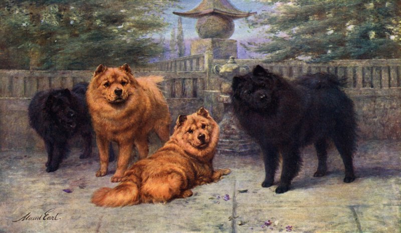 Négy Champion Chow-Chow tulajdonosa Mrs. Scaramanga alkotó: Maud Earl