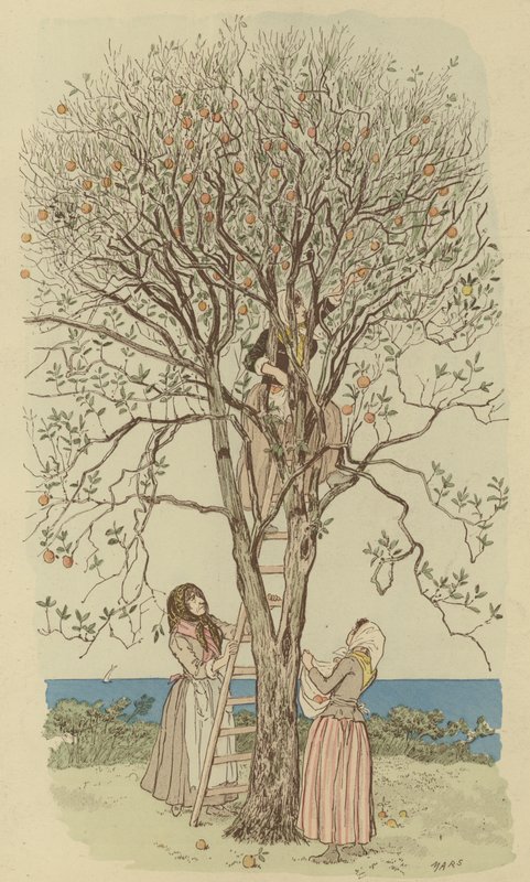 Narancsszedés a Földközi-tengeren (színes litho) alkotó: Maurice Charles Mathieu Bonvoisin
