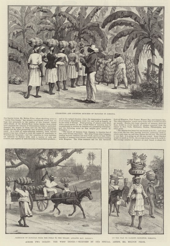 Két óceánon át, Nyugat-India alkotó: Melton Prior