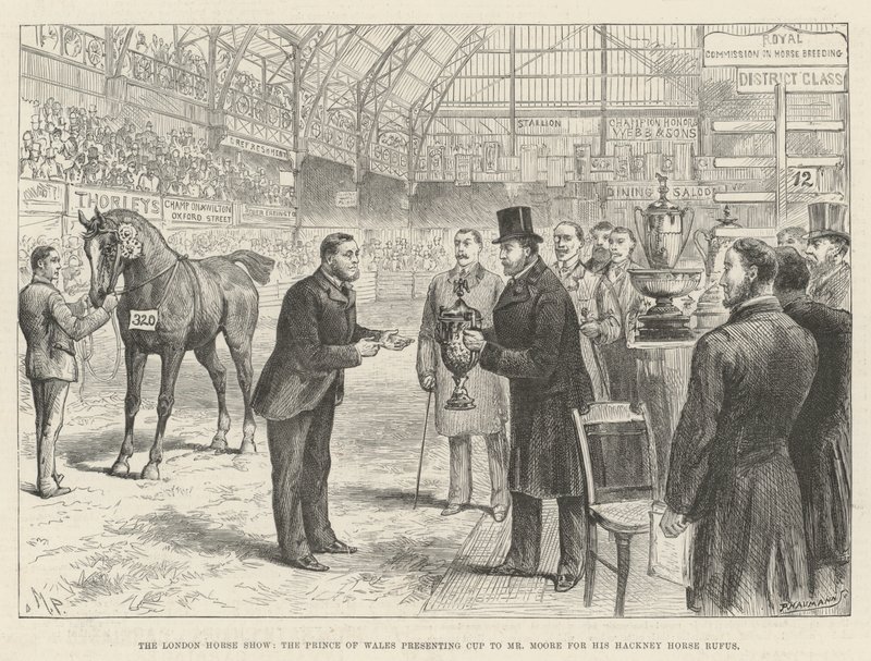 A London Horse Show, a walesi herceg kupát ajándékoz Mr. Moore-nak a Hackney Horse Rufusért alkotó: Melton Prior