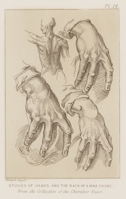 A férfialak kezei és hátának vizsgálata (rézkarc) alkotó: Michelangelo (after) Buonarroti