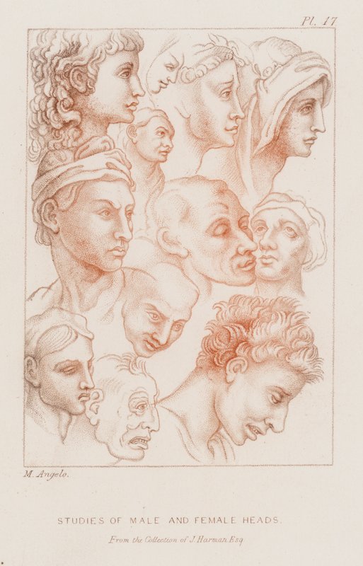 Férfi és női fejek vizsgálata (rézkarc) alkotó: Michelangelo (after) Buonarroti