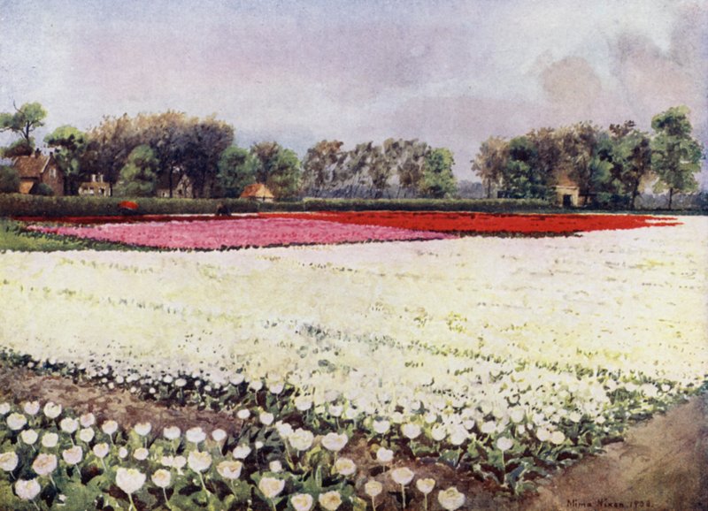 "Itt vannak neked tulipánok, fehérek, menyasszonyra vagy temetésre" (színes litho) alkotó: Mima Nixon