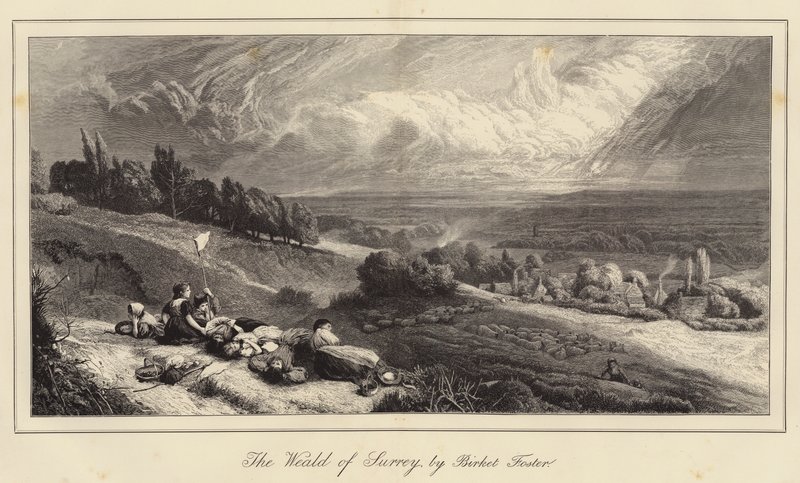 A Surrey Weald alkotó: Myles Birket Foster