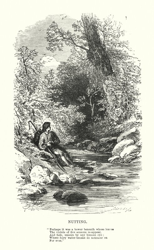 William Wordsworth: Kicsavarás (metszet) alkotó: Myles Birket (after) Foster