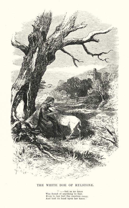 William Wordsworth: Rylstone fehér őzike (metszet) alkotó: Myles Birket (after) Foster