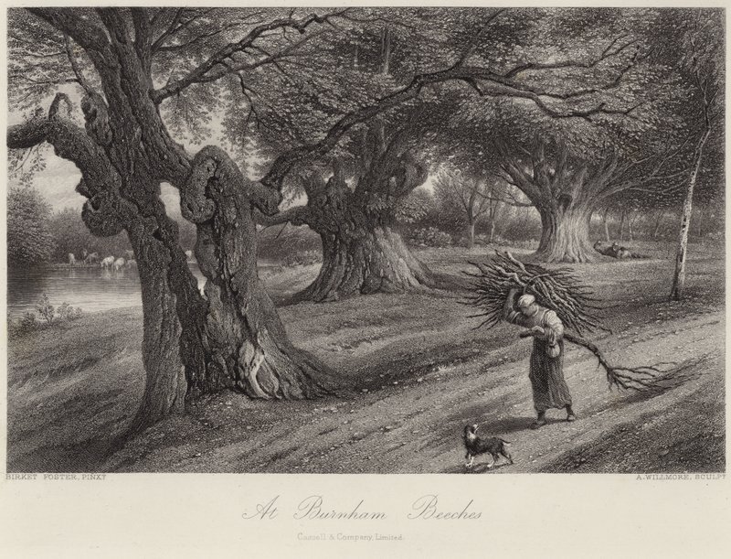 Burnham Beeches-ben alkotó: Myles Birket Foster