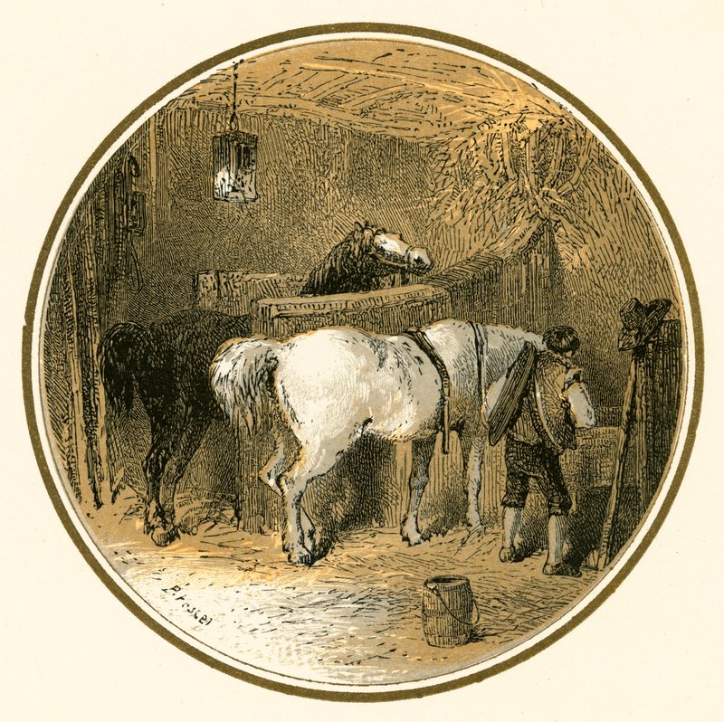 Lovak az istállóban alkotó: Myles Birket Foster