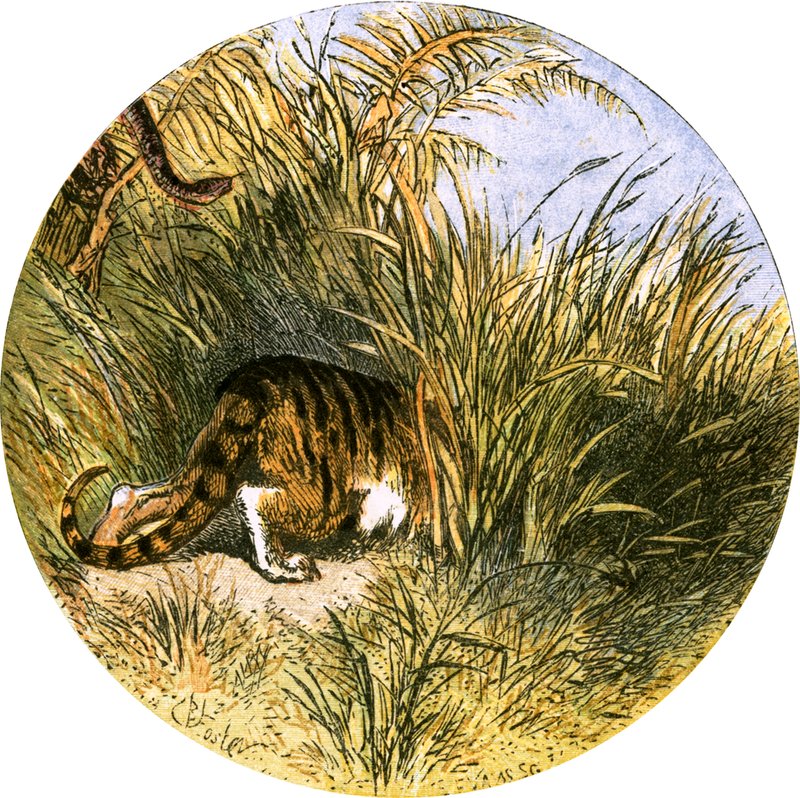 Illusztráció a "The Deserted Village"-hez alkotó: Myles Birket Foster