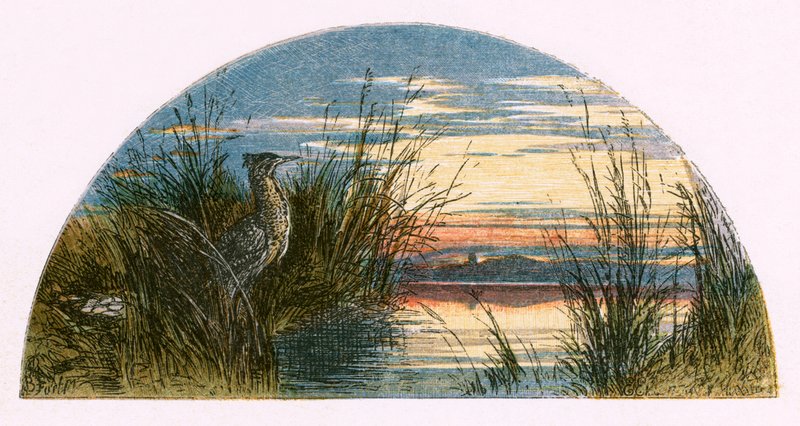 Illusztráció a "The Deserted Village"-hez alkotó: Myles Birket Foster