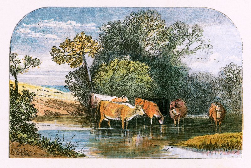 Illusztráció a "The Deserted Village"-hez alkotó: Myles Birket Foster