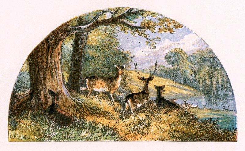 Illusztráció a "The Deserted Village"-hez alkotó: Myles Birket Foster