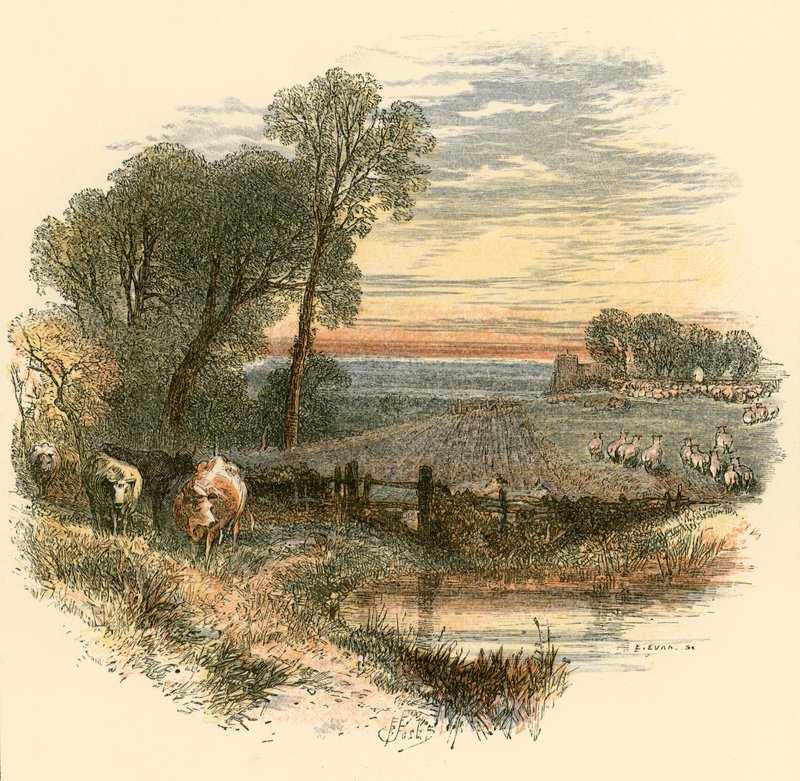 vasárnap alkotó: Myles Birket Foster