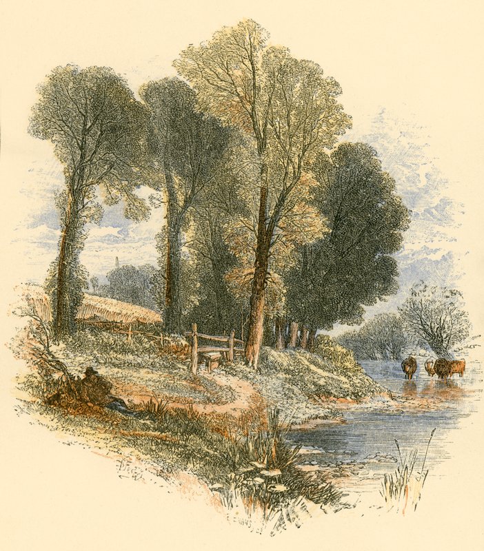 Vasárnapi séták alkotó: Myles Birket Foster