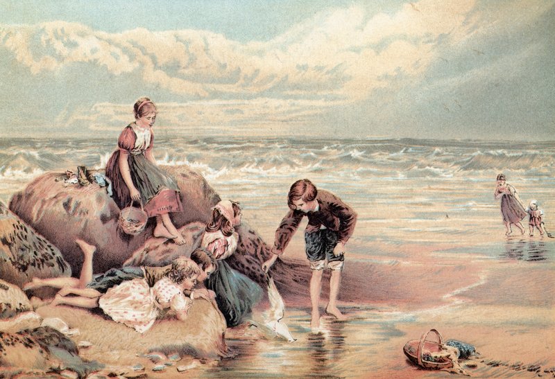 A holt-tengeri madár alkotó: Myles Birket Foster