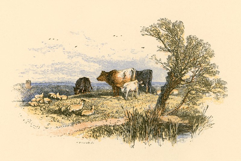 A templom harangjai alkotó: Myles Birket Foster