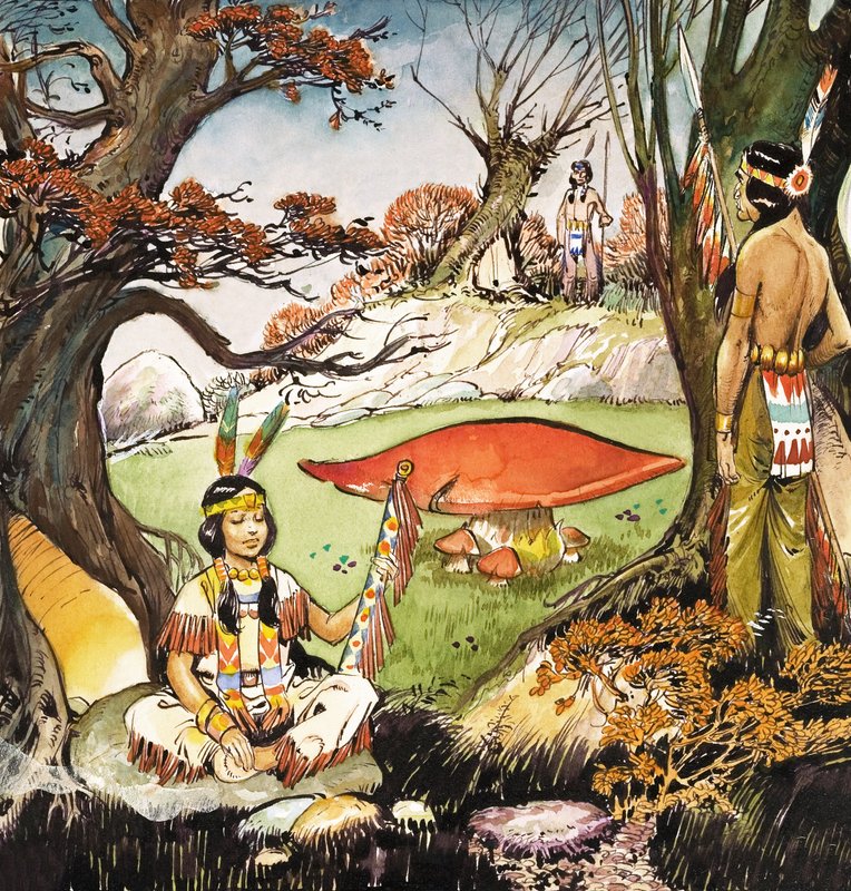 A Squaw and Braves, illusztráció J.M. Barrie 