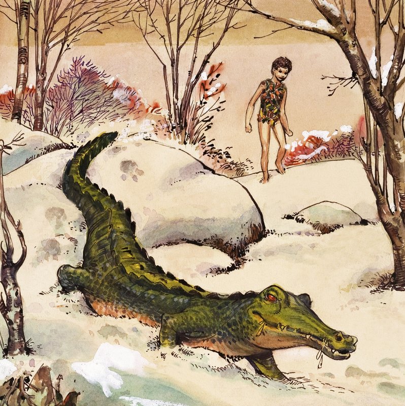 Peter követi a krokodilt, illusztráció J.M. Barrie 