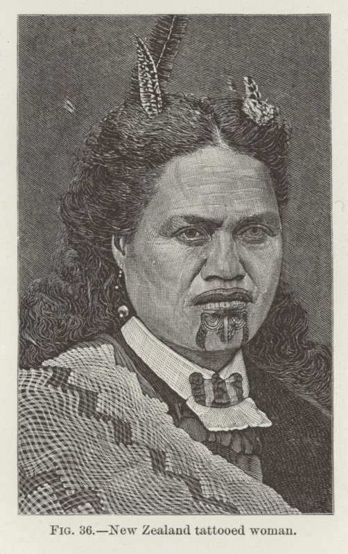 Új-zélandi tetovált nő alkotó: New Zealand School