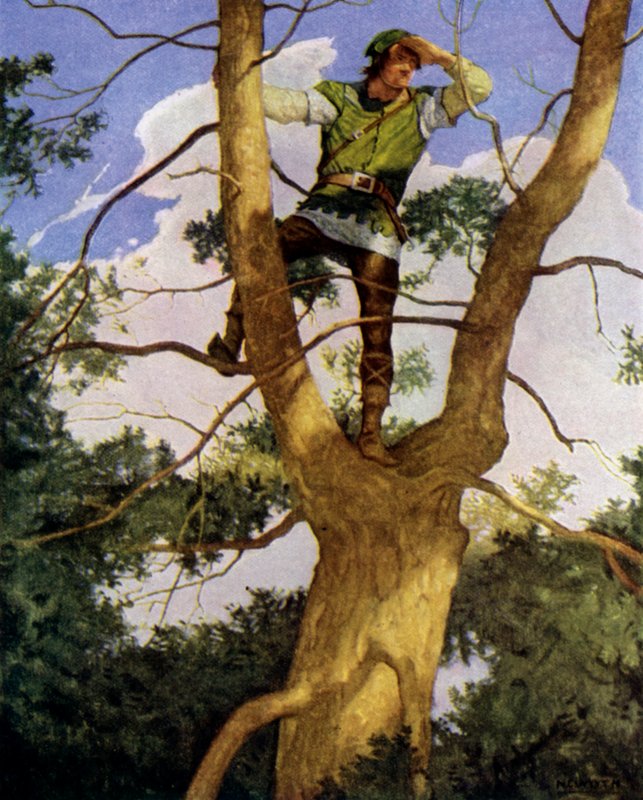 Illusztráció a Fekete nyílhoz, Robert Louis Stevenson alkotó: Newell Convers Wyeth